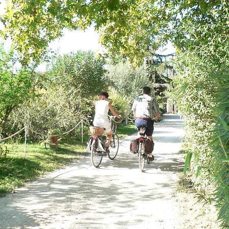 International Glamping Lago Di Bracciano Тревіньяно-Романо Екстер'єр фото