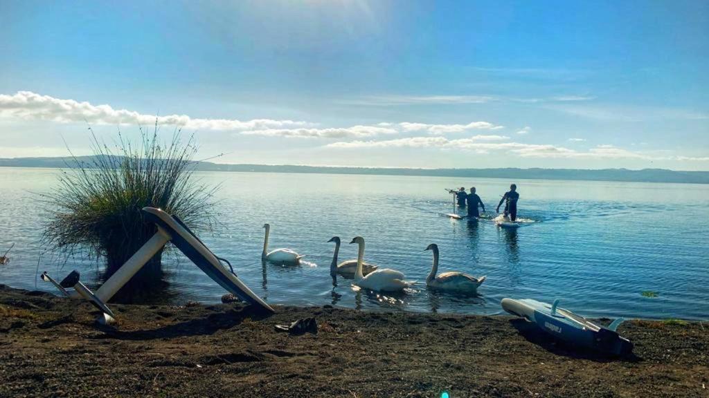 International Glamping Lago Di Bracciano Тревіньяно-Романо Екстер'єр фото