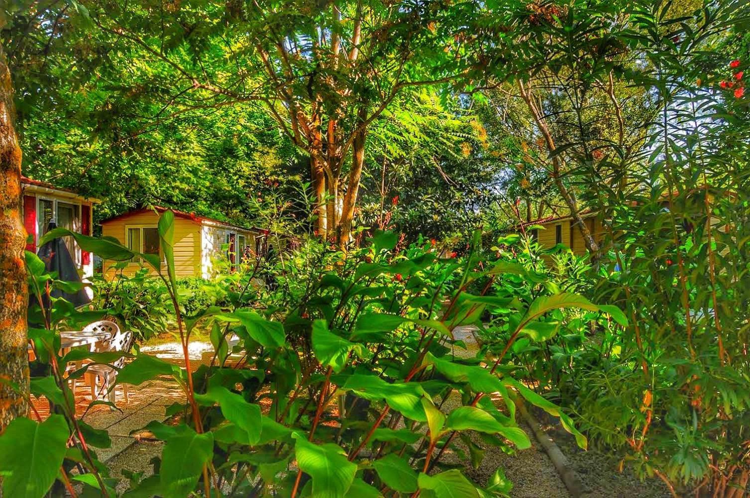 International Glamping Lago Di Bracciano Тревіньяно-Романо Екстер'єр фото