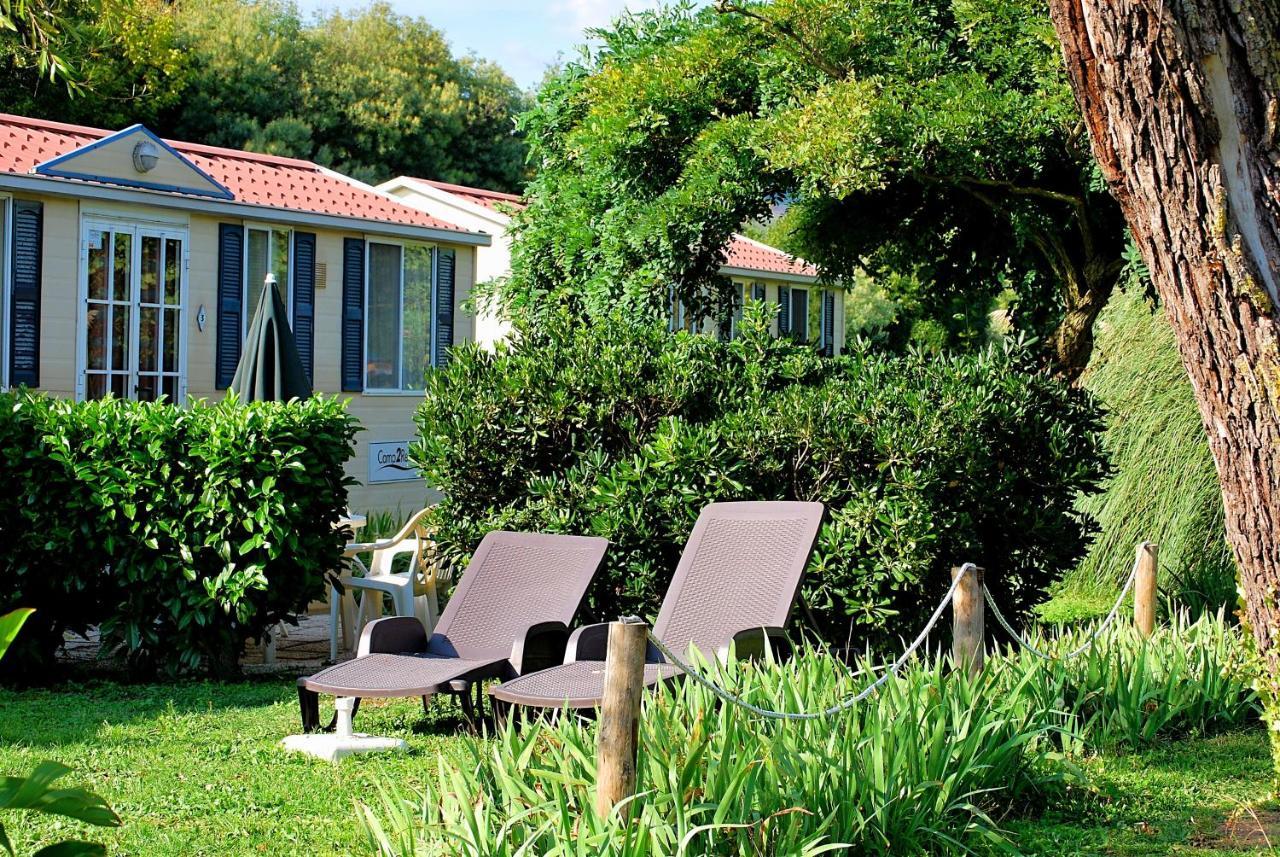 International Glamping Lago Di Bracciano Тревіньяно-Романо Екстер'єр фото
